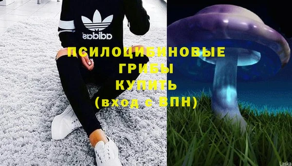 spice Абинск