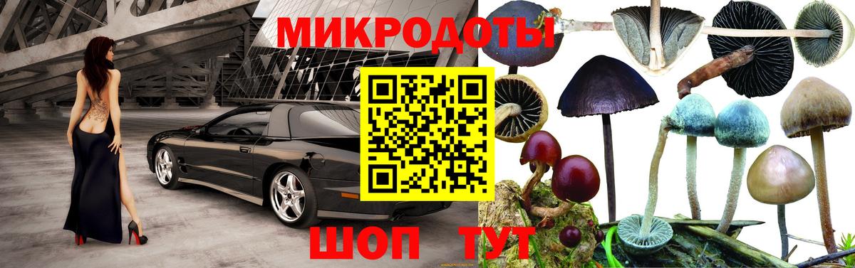 Чапаевск  Псилоцибиновые грибы GOLDEN TEACHER  Вход с VPN 